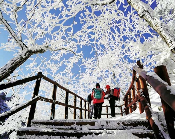 Thiên đường trượt tuyết ấn tượng tại Hàn Quốc